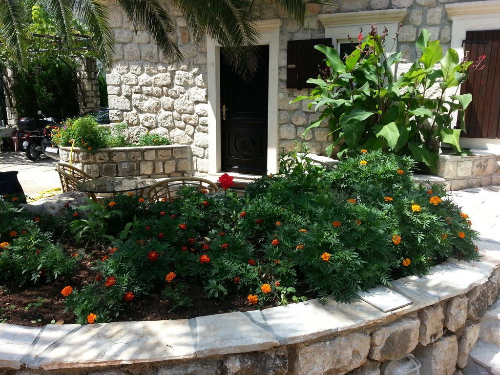 Hill Apartments Kotor Cameră foto